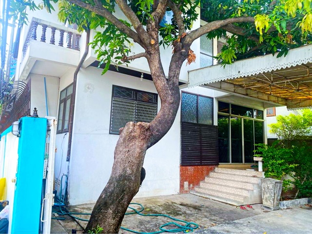 ประกาศฟรี! ซื้อ-ขาย-เช่า คอนโด บ้าน ทาวน์โฮม ที่ดิน และพื้นที่เชิงพาณิชย์ทั่วประเทศไทย ทุกทำเล ทุกงบประมาณ ไม่มีค่าใช้จ่าย ลงง่าย ขายไว เข้าถึงผู้ซื้อโดยตรง 3 173821pic2.jpg