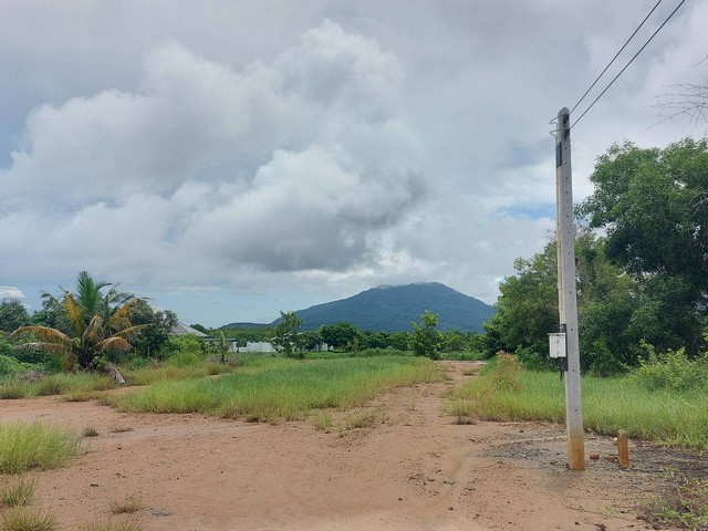 ประกาศฟรี! ซื้อ-ขาย-เช่า คอนโด บ้าน ทาวน์โฮม ที่ดิน และพื้นที่เชิงพาณิชย์ทั่วประเทศไทย ทุกทำเล ทุกงบประมาณ ไม่มีค่าใช้จ่าย ลงง่าย ขายไว เข้าถึงผู้ซื้อโดยตรง 2 173959pic1.jpg