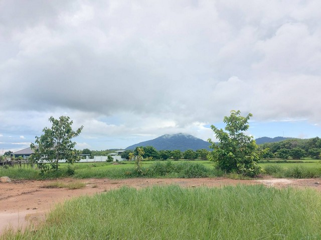 ประกาศฟรี! ซื้อ-ขาย-เช่า คอนโด บ้าน ทาวน์โฮม ที่ดิน และพื้นที่เชิงพาณิชย์ทั่วประเทศไทย ทุกทำเล ทุกงบประมาณ ไม่มีค่าใช้จ่าย ลงง่าย ขายไว เข้าถึงผู้ซื้อโดยตรง 3 173959pic2.jpg