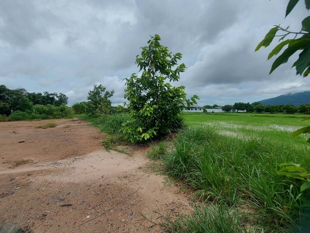 ประกาศฟรี! ซื้อ-ขาย-เช่า คอนโด บ้าน ทาวน์โฮม ที่ดิน และพื้นที่เชิงพาณิชย์ทั่วประเทศไทย ทุกทำเล ทุกงบประมาณ ไม่มีค่าใช้จ่าย ลงง่าย ขายไว เข้าถึงผู้ซื้อโดยตรง 5 173959pic4.jpg