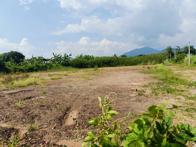 ประกาศฟรี! ซื้อ-ขาย-เช่า คอนโด บ้าน ทาวน์โฮม ที่ดิน และพื้นที่เชิงพาณิชย์ทั่วประเทศไทย ทุกทำเล ทุกงบประมาณ ไม่มีค่าใช้จ่าย ลงง่าย ขายไว เข้าถึงผู้ซื้อโดยตรง 2 173957pic1.jpg