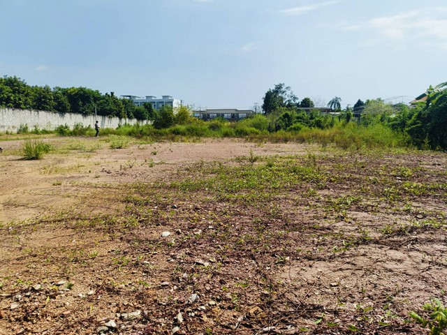 ประกาศฟรี! ซื้อ-ขาย-เช่า คอนโด บ้าน ทาวน์โฮม ที่ดิน และพื้นที่เชิงพาณิชย์ทั่วประเทศไทย ทุกทำเล ทุกงบประมาณ ไม่มีค่าใช้จ่าย ลงง่าย ขายไว เข้าถึงผู้ซื้อโดยตรง 3 173957pic2.jpg