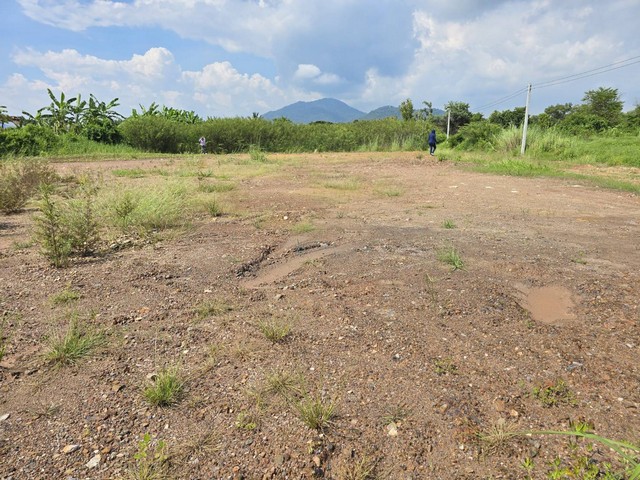 ประกาศฟรี! ซื้อ-ขาย-เช่า คอนโด บ้าน ทาวน์โฮม ที่ดิน และพื้นที่เชิงพาณิชย์ทั่วประเทศไทย ทุกทำเล ทุกงบประมาณ ไม่มีค่าใช้จ่าย ลงง่าย ขายไว เข้าถึงผู้ซื้อโดยตรง 5 173957pic4.jpg