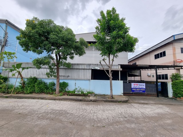 ประกาศฟรี! ซื้อ-ขาย-เช่า คอนโด บ้าน ทาวน์โฮม ที่ดิน และพื้นที่เชิงพาณิชย์ทั่วประเทศไทย ทุกทำเล ทุกงบประมาณ ไม่มีค่าใช้จ่าย ลงง่าย ขายไว เข้าถึงผู้ซื้อโดยตรง 2 273678pic1.jpg