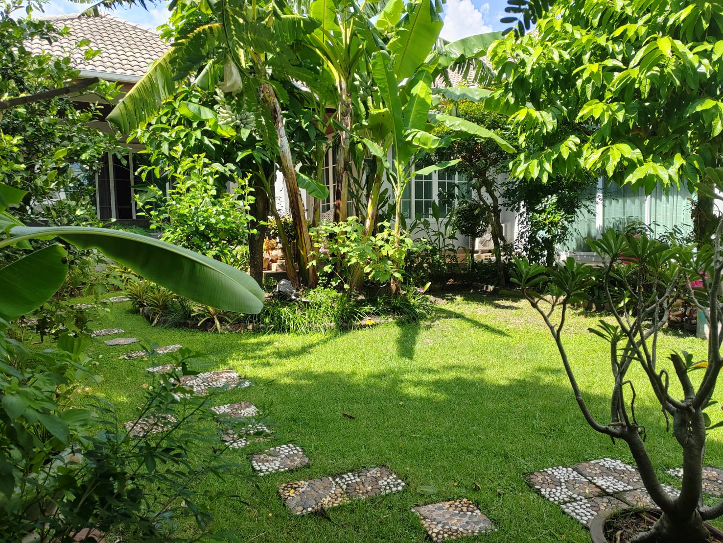 ประกาศฟรี! ซื้อ-ขาย-เช่า คอนโด บ้าน ทาวน์โฮม ที่ดิน และพื้นที่เชิงพาณิชย์ทั่วประเทศไทย ทุกทำเล ทุกงบประมาณ ไม่มีค่าใช้จ่าย ลงง่าย ขายไว เข้าถึงผู้ซื้อโดยตรง 3 493016.jpg