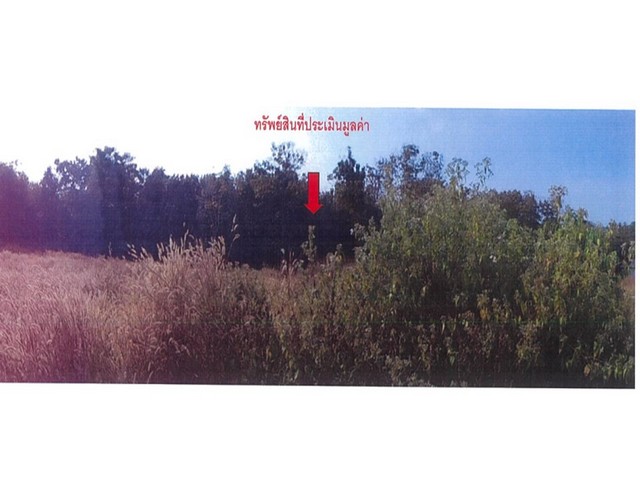 ประกาศฟรี! ซื้อ-ขาย-เช่า คอนโด บ้าน ทาวน์โฮม ที่ดิน และพื้นที่เชิงพาณิชย์ทั่วประเทศไทย ทุกทำเล ทุกงบประมาณ ไม่มีค่าใช้จ่าย ลงง่าย ขายไว เข้าถึงผู้ซื้อโดยตรง 2 174045pic1.jpg