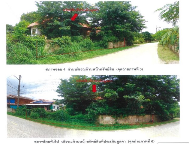 ประกาศฟรี! ซื้อ-ขาย-เช่า คอนโด บ้าน ทาวน์โฮม ที่ดิน และพื้นที่เชิงพาณิชย์ทั่วประเทศไทย ทุกทำเล ทุกงบประมาณ ไม่มีค่าใช้จ่าย ลงง่าย ขายไว เข้าถึงผู้ซื้อโดยตรง 4 174038pic3.jpg