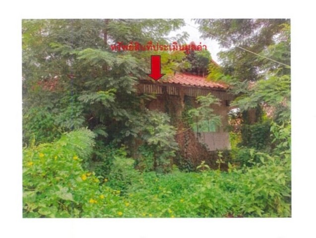 ประกาศฟรี! ซื้อ-ขาย-เช่า คอนโด บ้าน ทาวน์โฮม ที่ดิน และพื้นที่เชิงพาณิชย์ทั่วประเทศไทย ทุกทำเล ทุกงบประมาณ ไม่มีค่าใช้จ่าย ลงง่าย ขายไว เข้าถึงผู้ซื้อโดยตรง 5 174038pic4.jpg