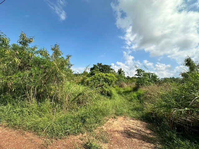 ประกาศฟรี! ซื้อ-ขาย-เช่า คอนโด บ้าน ทาวน์โฮม ที่ดิน และพื้นที่เชิงพาณิชย์ทั่วประเทศไทย ทุกทำเล ทุกงบประมาณ ไม่มีค่าใช้จ่าย ลงง่าย ขายไว เข้าถึงผู้ซื้อโดยตรง 5 22984pic4.jpg