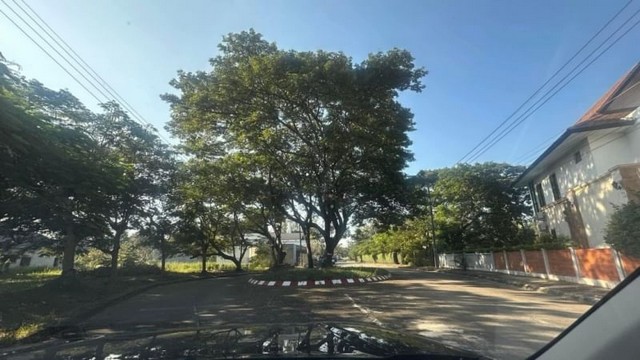 ประกาศฟรี! ซื้อ-ขาย-เช่า คอนโด บ้าน ทาวน์โฮม ที่ดิน และพื้นที่เชิงพาณิชย์ทั่วประเทศไทย ทุกทำเล ทุกงบประมาณ ไม่มีค่าใช้จ่าย ลงง่าย ขายไว เข้าถึงผู้ซื้อโดยตรง 2 174214pic1.jpg