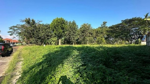 ประกาศฟรี! ซื้อ-ขาย-เช่า คอนโด บ้าน ทาวน์โฮม ที่ดิน และพื้นที่เชิงพาณิชย์ทั่วประเทศไทย ทุกทำเล ทุกงบประมาณ ไม่มีค่าใช้จ่าย ลงง่าย ขายไว เข้าถึงผู้ซื้อโดยตรง 4 174214pic3.jpg