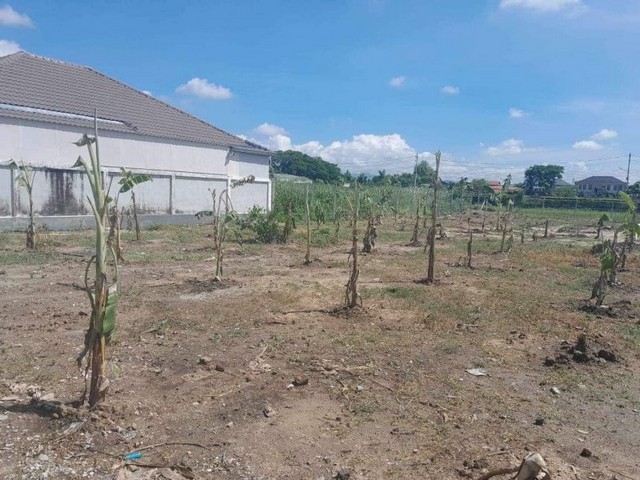 ประกาศฟรี! ซื้อ-ขาย-เช่า คอนโด บ้าน ทาวน์โฮม ที่ดิน และพื้นที่เชิงพาณิชย์ทั่วประเทศไทย ทุกทำเล ทุกงบประมาณ ไม่มีค่าใช้จ่าย ลงง่าย ขายไว เข้าถึงผู้ซื้อโดยตรง 2 174208pic1.jpg