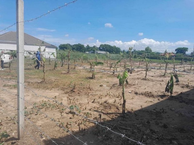 ประกาศฟรี! ซื้อ-ขาย-เช่า คอนโด บ้าน ทาวน์โฮม ที่ดิน และพื้นที่เชิงพาณิชย์ทั่วประเทศไทย ทุกทำเล ทุกงบประมาณ ไม่มีค่าใช้จ่าย ลงง่าย ขายไว เข้าถึงผู้ซื้อโดยตรง 3 174208pic2.jpg