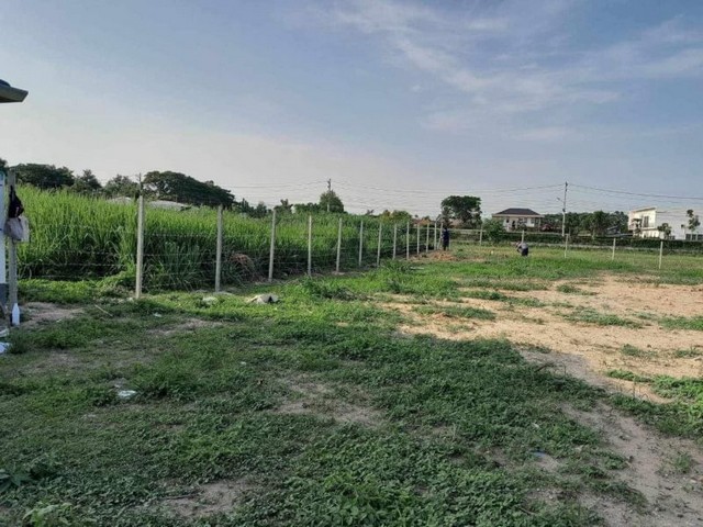 ประกาศฟรี! ซื้อ-ขาย-เช่า คอนโด บ้าน ทาวน์โฮม ที่ดิน และพื้นที่เชิงพาณิชย์ทั่วประเทศไทย ทุกทำเล ทุกงบประมาณ ไม่มีค่าใช้จ่าย ลงง่าย ขายไว เข้าถึงผู้ซื้อโดยตรง 4 174208pic3.jpg