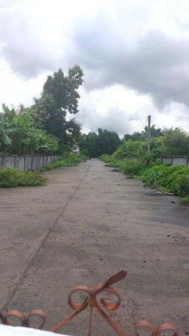 ประกาศฟรี! ซื้อ-ขาย-เช่า คอนโด บ้าน ทาวน์โฮม ที่ดิน และพื้นที่เชิงพาณิชย์ทั่วประเทศไทย ทุกทำเล ทุกงบประมาณ ไม่มีค่าใช้จ่าย ลงง่าย ขายไว เข้าถึงผู้ซื้อโดยตรง 2 174205pic1.jpg