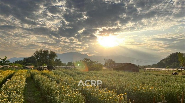 ประกาศฟรี! ซื้อ-ขาย-เช่า คอนโด บ้าน ทาวน์โฮม ที่ดิน และพื้นที่เชิงพาณิชย์ทั่วประเทศไทย ทุกทำเล ทุกงบประมาณ ไม่มีค่าใช้จ่าย ลงง่าย ขายไว เข้าถึงผู้ซื้อโดยตรง 4 222895pic3.jpg