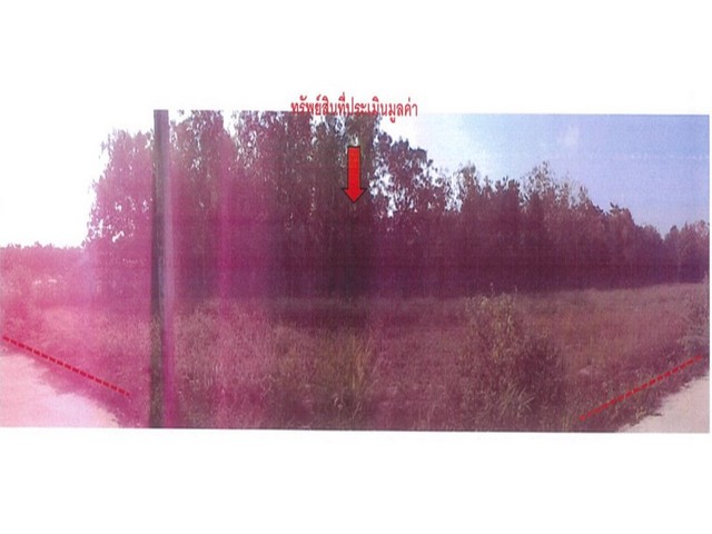 ประกาศฟรี! ซื้อ-ขาย-เช่า คอนโด บ้าน ทาวน์โฮม ที่ดิน และพื้นที่เชิงพาณิชย์ทั่วประเทศไทย ทุกทำเล ทุกงบประมาณ ไม่มีค่าใช้จ่าย ลงง่าย ขายไว เข้าถึงผู้ซื้อโดยตรง 2 174047pic1.jpg