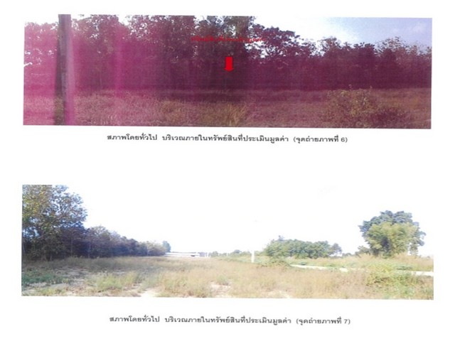 ประกาศฟรี! ซื้อ-ขาย-เช่า คอนโด บ้าน ทาวน์โฮม ที่ดิน และพื้นที่เชิงพาณิชย์ทั่วประเทศไทย ทุกทำเล ทุกงบประมาณ ไม่มีค่าใช้จ่าย ลงง่าย ขายไว เข้าถึงผู้ซื้อโดยตรง 5 174047pic4.jpg