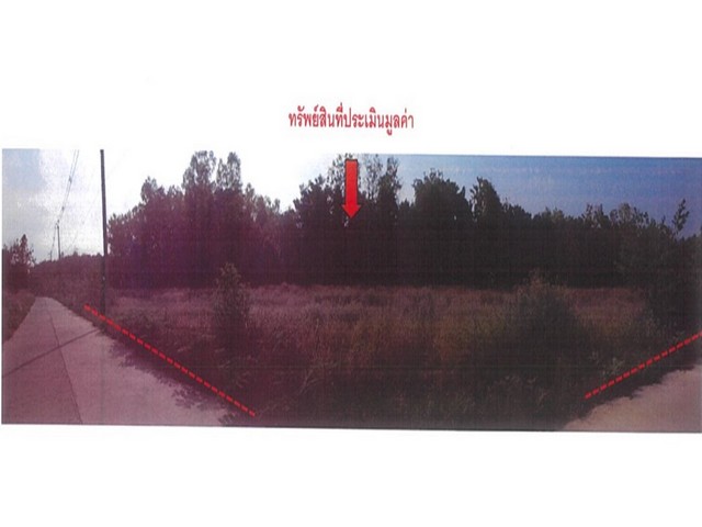 ประกาศฟรี! ซื้อ-ขาย-เช่า คอนโด บ้าน ทาวน์โฮม ที่ดิน และพื้นที่เชิงพาณิชย์ทั่วประเทศไทย ทุกทำเล ทุกงบประมาณ ไม่มีค่าใช้จ่าย ลงง่าย ขายไว เข้าถึงผู้ซื้อโดยตรง 2 174046pic1.jpg