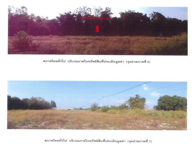 ประกาศฟรี! ซื้อ-ขาย-เช่า คอนโด บ้าน ทาวน์โฮม ที่ดิน และพื้นที่เชิงพาณิชย์ทั่วประเทศไทย ทุกทำเล ทุกงบประมาณ ไม่มีค่าใช้จ่าย ลงง่าย ขายไว เข้าถึงผู้ซื้อโดยตรง 5 174046pic4.jpg