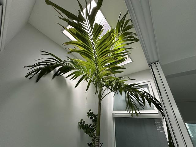 ประกาศฟรี! ซื้อ-ขาย-เช่า คอนโด บ้าน ทาวน์โฮม ที่ดิน และพื้นที่เชิงพาณิชย์ทั่วประเทศไทย ทุกทำเล ทุกงบประมาณ ไม่มีค่าใช้จ่าย ลงง่าย ขายไว เข้าถึงผู้ซื้อโดยตรง 3 477614pic2.jpg