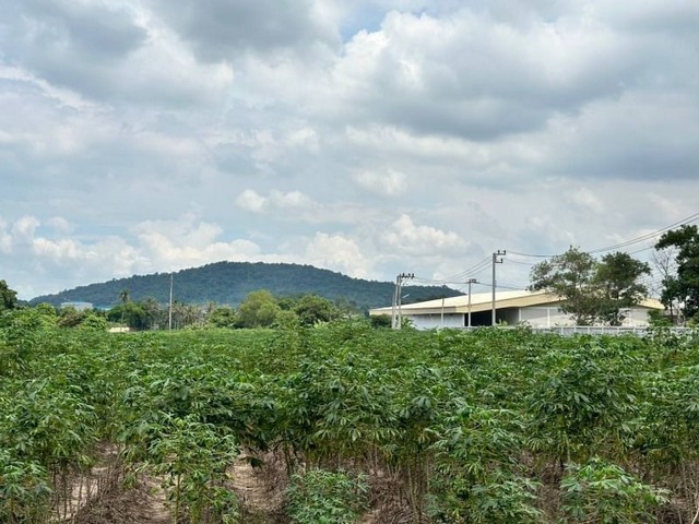 ประกาศฟรี! ซื้อ-ขาย-เช่า คอนโด บ้าน ทาวน์โฮม ที่ดิน และพื้นที่เชิงพาณิชย์ทั่วประเทศไทย ทุกทำเล ทุกงบประมาณ ไม่มีค่าใช้จ่าย ลงง่าย ขายไว เข้าถึงผู้ซื้อโดยตรง 2 23472pic1.jpg