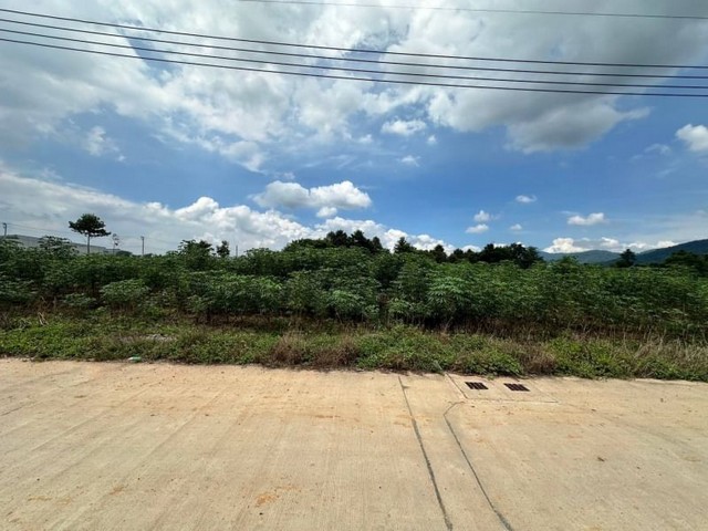 ประกาศฟรี! ซื้อ-ขาย-เช่า คอนโด บ้าน ทาวน์โฮม ที่ดิน และพื้นที่เชิงพาณิชย์ทั่วประเทศไทย ทุกทำเล ทุกงบประมาณ ไม่มีค่าใช้จ่าย ลงง่าย ขายไว เข้าถึงผู้ซื้อโดยตรง 3 23472pic2.jpg