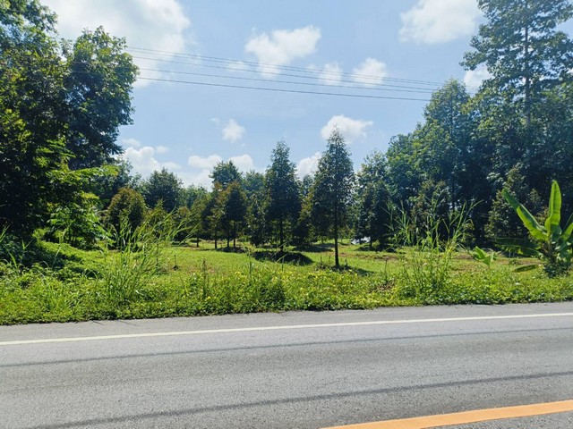 ประกาศฟรี! ซื้อ-ขาย-เช่า คอนโด บ้าน ทาวน์โฮม ที่ดิน และพื้นที่เชิงพาณิชย์ทั่วประเทศไทย ทุกทำเล ทุกงบประมาณ ไม่มีค่าใช้จ่าย ลงง่าย ขายไว เข้าถึงผู้ซื้อโดยตรง 2 175644pic1.jpg