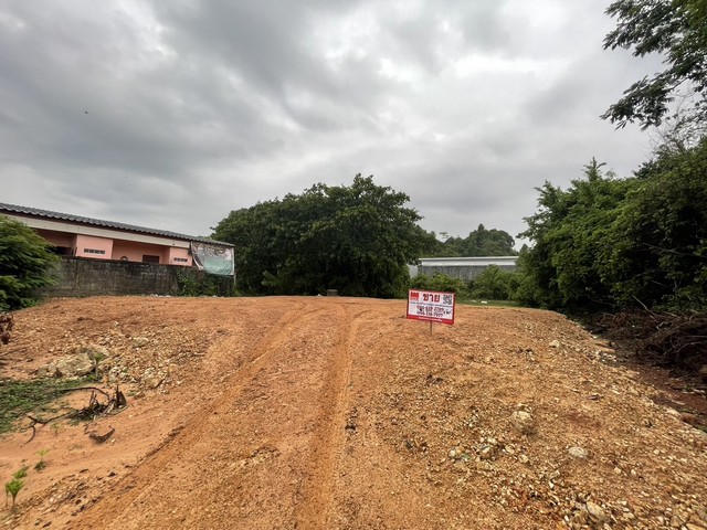 ประกาศฟรี! ซื้อ-ขาย-เช่า คอนโด บ้าน ทาวน์โฮม ที่ดิน และพื้นที่เชิงพาณิชย์ทั่วประเทศไทย ทุกทำเล ทุกงบประมาณ ไม่มีค่าใช้จ่าย ลงง่าย ขายไว เข้าถึงผู้ซื้อโดยตรง 2 13722pic1.jpg