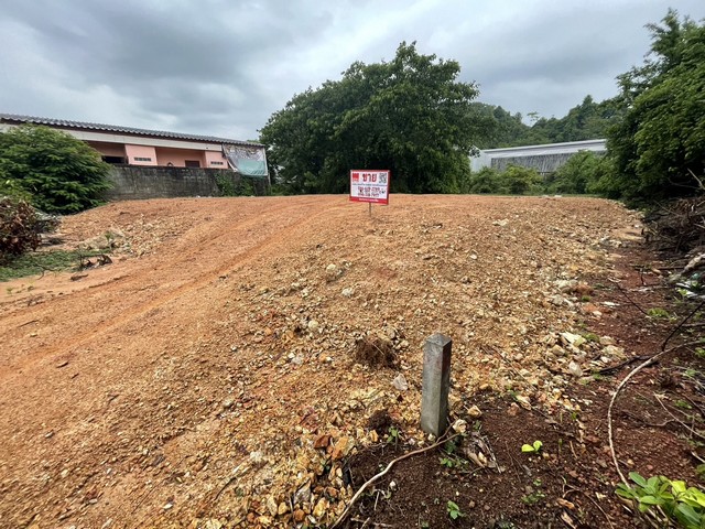 ประกาศฟรี! ซื้อ-ขาย-เช่า คอนโด บ้าน ทาวน์โฮม ที่ดิน และพื้นที่เชิงพาณิชย์ทั่วประเทศไทย ทุกทำเล ทุกงบประมาณ ไม่มีค่าใช้จ่าย ลงง่าย ขายไว เข้าถึงผู้ซื้อโดยตรง 3 13722pic2.jpg