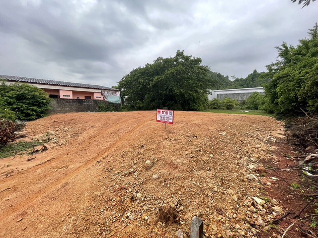 ประกาศฟรี! ซื้อ-ขาย-เช่า คอนโด บ้าน ทาวน์โฮม ที่ดิน และพื้นที่เชิงพาณิชย์ทั่วประเทศไทย ทุกทำเล ทุกงบประมาณ ไม่มีค่าใช้จ่าย ลงง่าย ขายไว เข้าถึงผู้ซื้อโดยตรง 4 13722pic3.jpg