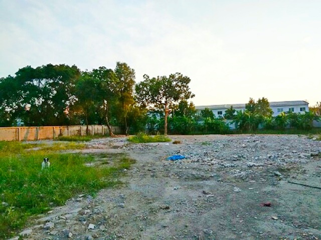 ประกาศฟรี! ซื้อ-ขาย-เช่า คอนโด บ้าน ทาวน์โฮม ที่ดิน และพื้นที่เชิงพาณิชย์ทั่วประเทศไทย ทุกทำเล ทุกงบประมาณ ไม่มีค่าใช้จ่าย ลงง่าย ขายไว เข้าถึงผู้ซื้อโดยตรง 3 23550pic2.jpg