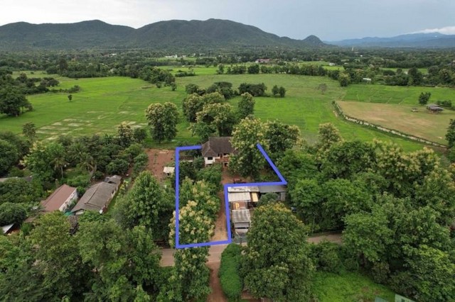 ประกาศฟรี! ซื้อ-ขาย-เช่า คอนโด บ้าน ทาวน์โฮม ที่ดิน และพื้นที่เชิงพาณิชย์ทั่วประเทศไทย ทุกทำเล ทุกงบประมาณ ไม่มีค่าใช้จ่าย ลงง่าย ขายไว เข้าถึงผู้ซื้อโดยตรง 2 175777pic1.jpg