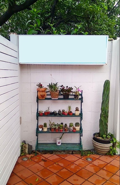 ประกาศฟรี! ซื้อ-ขาย-เช่า คอนโด บ้าน ทาวน์โฮม ที่ดิน และพื้นที่เชิงพาณิชย์ทั่วประเทศไทย ทุกทำเล ทุกงบประมาณ ไม่มีค่าใช้จ่าย ลงง่าย ขายไว เข้าถึงผู้ซื้อโดยตรง 5 175853pic4.jpg