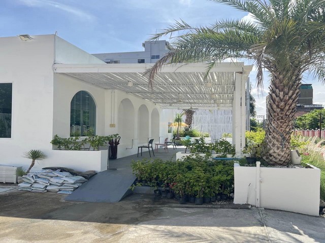 ประกาศฟรี! ซื้อ-ขาย-เช่า คอนโด บ้าน ทาวน์โฮม ที่ดิน และพื้นที่เชิงพาณิชย์ทั่วประเทศไทย ทุกทำเล ทุกงบประมาณ ไม่มีค่าใช้จ่าย ลงง่าย ขายไว เข้าถึงผู้ซื้อโดยตรง 3 479079pic2.jpg