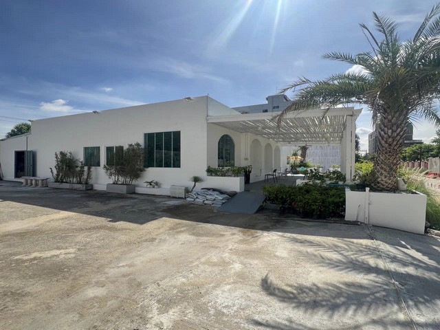 ประกาศฟรี! ซื้อ-ขาย-เช่า คอนโด บ้าน ทาวน์โฮม ที่ดิน และพื้นที่เชิงพาณิชย์ทั่วประเทศไทย ทุกทำเล ทุกงบประมาณ ไม่มีค่าใช้จ่าย ลงง่าย ขายไว เข้าถึงผู้ซื้อโดยตรง 2 479078pic1.jpg