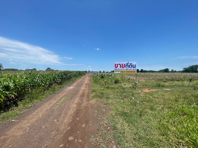 ประกาศฟรี! ซื้อ-ขาย-เช่า คอนโด บ้าน ทาวน์โฮม ที่ดิน และพื้นที่เชิงพาณิชย์ทั่วประเทศไทย ทุกทำเล ทุกงบประมาณ ไม่มีค่าใช้จ่าย ลงง่าย ขายไว เข้าถึงผู้ซื้อโดยตรง 3 254597pic2.jpg