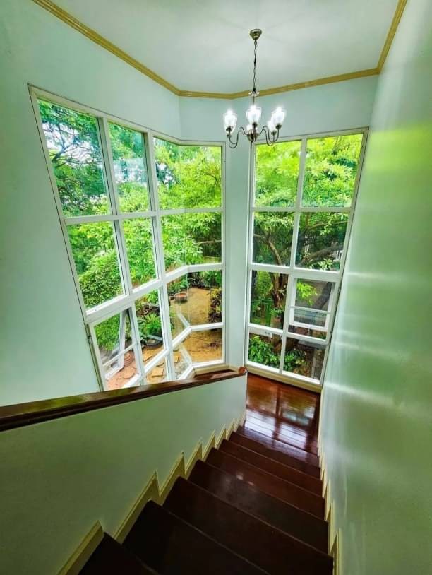 ประกาศฟรี! ซื้อ-ขาย-เช่า คอนโด บ้าน ทาวน์โฮม ที่ดิน และพื้นที่เชิงพาณิชย์ทั่วประเทศไทย ทุกทำเล ทุกงบประมาณ ไม่มีค่าใช้จ่าย ลงง่าย ขายไว เข้าถึงผู้ซื้อโดยตรง 4 177438pic3.jpg