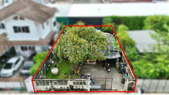 ประกาศฟรี! ซื้อ-ขาย-เช่า คอนโด บ้าน ทาวน์โฮม ที่ดิน และพื้นที่เชิงพาณิชย์ทั่วประเทศไทย ทุกทำเล ทุกงบประมาณ ไม่มีค่าใช้จ่าย ลงง่าย ขายไว เข้าถึงผู้ซื้อโดยตรง 2 278974pic1.jpg