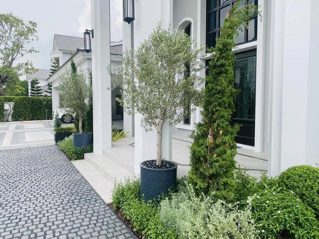 ประกาศฟรี! ซื้อ-ขาย-เช่า คอนโด บ้าน ทาวน์โฮม ที่ดิน และพื้นที่เชิงพาณิชย์ทั่วประเทศไทย ทุกทำเล ทุกงบประมาณ ไม่มีค่าใช้จ่าย ลงง่าย ขายไว เข้าถึงผู้ซื้อโดยตรง 3 453479pic2.jpg