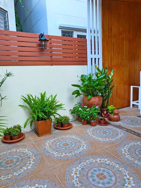 ประกาศฟรี! ซื้อ-ขาย-เช่า คอนโด บ้าน ทาวน์โฮม ที่ดิน และพื้นที่เชิงพาณิชย์ทั่วประเทศไทย ทุกทำเล ทุกงบประมาณ ไม่มีค่าใช้จ่าย ลงง่าย ขายไว เข้าถึงผู้ซื้อโดยตรง 3 278884pic2.jpg