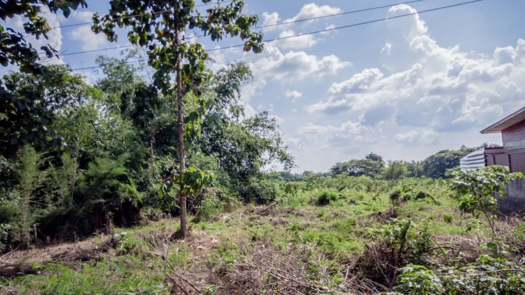 ประกาศฟรี! ซื้อ-ขาย-เช่า คอนโด บ้าน ทาวน์โฮม ที่ดิน และพื้นที่เชิงพาณิชย์ทั่วประเทศไทย ทุกทำเล ทุกงบประมาณ ไม่มีค่าใช้จ่าย ลงง่าย ขายไว เข้าถึงผู้ซื้อโดยตรง 4 178425pic3.jpg