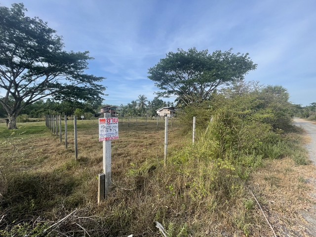 ประกาศฟรี! ซื้อ-ขาย-เช่า คอนโด บ้าน ทาวน์โฮม ที่ดิน และพื้นที่เชิงพาณิชย์ทั่วประเทศไทย ทุกทำเล ทุกงบประมาณ ไม่มีค่าใช้จ่าย ลงง่าย ขายไว เข้าถึงผู้ซื้อโดยตรง 2 12412pic1.jpg