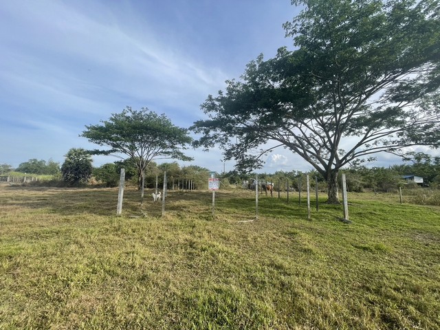 ประกาศฟรี! ซื้อ-ขาย-เช่า คอนโด บ้าน ทาวน์โฮม ที่ดิน และพื้นที่เชิงพาณิชย์ทั่วประเทศไทย ทุกทำเล ทุกงบประมาณ ไม่มีค่าใช้จ่าย ลงง่าย ขายไว เข้าถึงผู้ซื้อโดยตรง 3 12412pic2.jpg