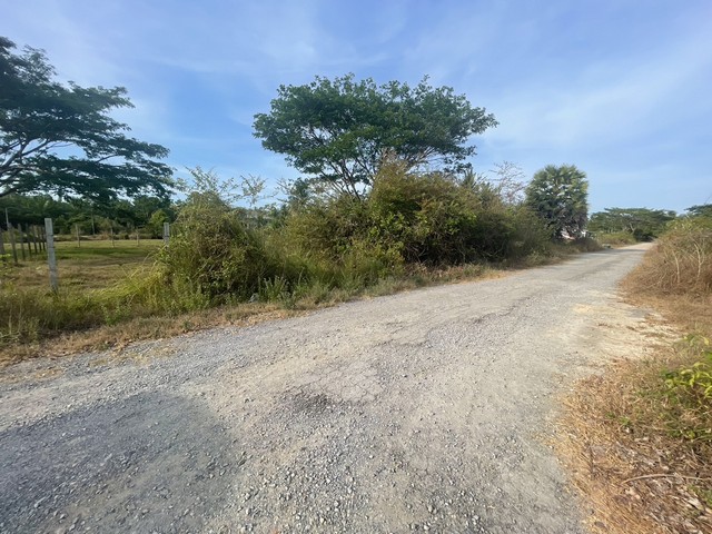 ประกาศฟรี! ซื้อ-ขาย-เช่า คอนโด บ้าน ทาวน์โฮม ที่ดิน และพื้นที่เชิงพาณิชย์ทั่วประเทศไทย ทุกทำเล ทุกงบประมาณ ไม่มีค่าใช้จ่าย ลงง่าย ขายไว เข้าถึงผู้ซื้อโดยตรง 5 12412pic4.jpg