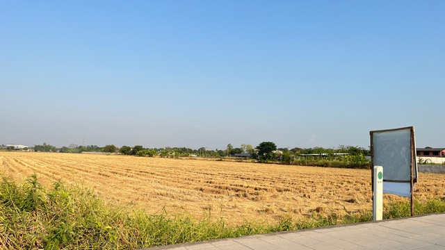 ประกาศฟรี! ซื้อ-ขาย-เช่า คอนโด บ้าน ทาวน์โฮม ที่ดิน และพื้นที่เชิงพาณิชย์ทั่วประเทศไทย ทุกทำเล ทุกงบประมาณ ไม่มีค่าใช้จ่าย ลงง่าย ขายไว เข้าถึงผู้ซื้อโดยตรง 3 16220pic2.jpg