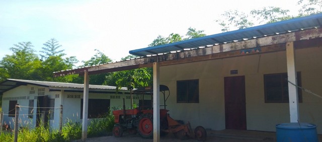 ประกาศฟรี! ซื้อ-ขาย-เช่า คอนโด บ้าน ทาวน์โฮม ที่ดิน และพื้นที่เชิงพาณิชย์ทั่วประเทศไทย ทุกทำเล ทุกงบประมาณ ไม่มีค่าใช้จ่าย ลงง่าย ขายไว เข้าถึงผู้ซื้อโดยตรง 3 7916pic2.jpg