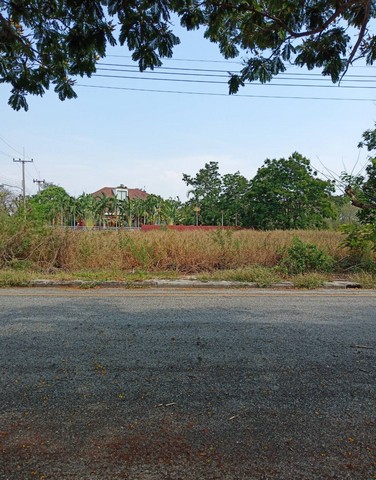 ประกาศฟรี! ซื้อ-ขาย-เช่า คอนโด บ้าน ทาวน์โฮม ที่ดิน และพื้นที่เชิงพาณิชย์ทั่วประเทศไทย ทุกทำเล ทุกงบประมาณ ไม่มีค่าใช้จ่าย ลงง่าย ขายไว เข้าถึงผู้ซื้อโดยตรง 2 7380pic1.jpg