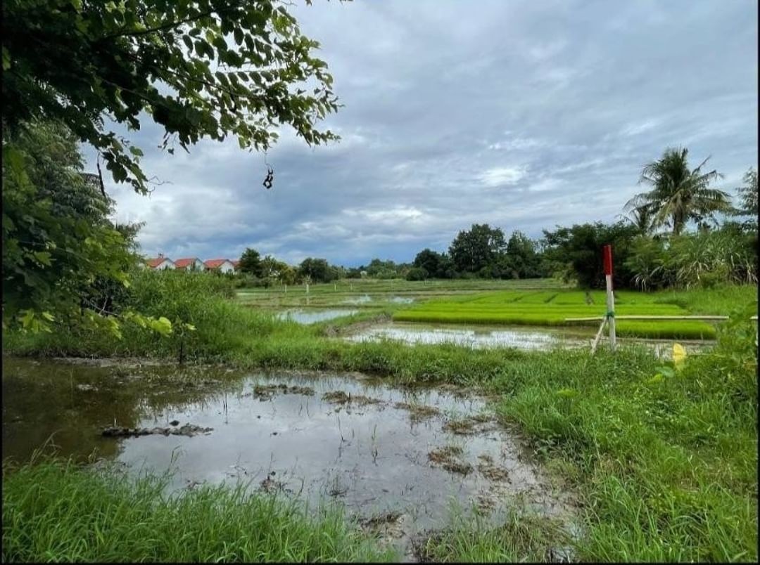 ประกาศฟรี! ซื้อ-ขาย-เช่า คอนโด บ้าน ทาวน์โฮม ที่ดิน และพื้นที่เชิงพาณิชย์ทั่วประเทศไทย ทุกทำเล ทุกงบประมาณ ไม่มีค่าใช้จ่าย ลงง่าย ขายไว เข้าถึงผู้ซื้อโดยตรง 2 178584pic1.jpg