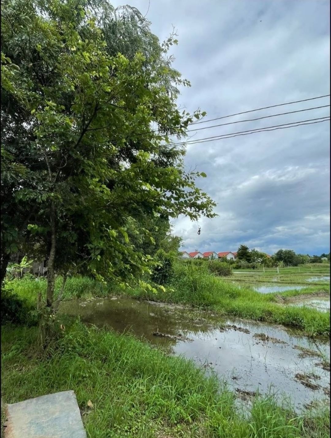 ประกาศฟรี! ซื้อ-ขาย-เช่า คอนโด บ้าน ทาวน์โฮม ที่ดิน และพื้นที่เชิงพาณิชย์ทั่วประเทศไทย ทุกทำเล ทุกงบประมาณ ไม่มีค่าใช้จ่าย ลงง่าย ขายไว เข้าถึงผู้ซื้อโดยตรง 3 178584pic2.jpg